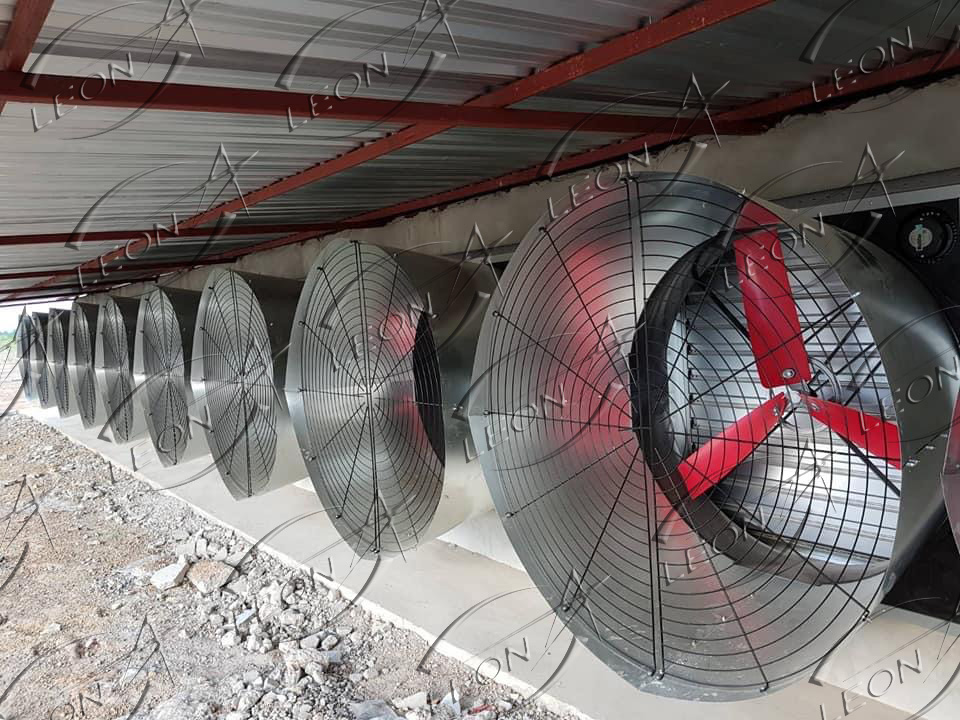 product-424-317