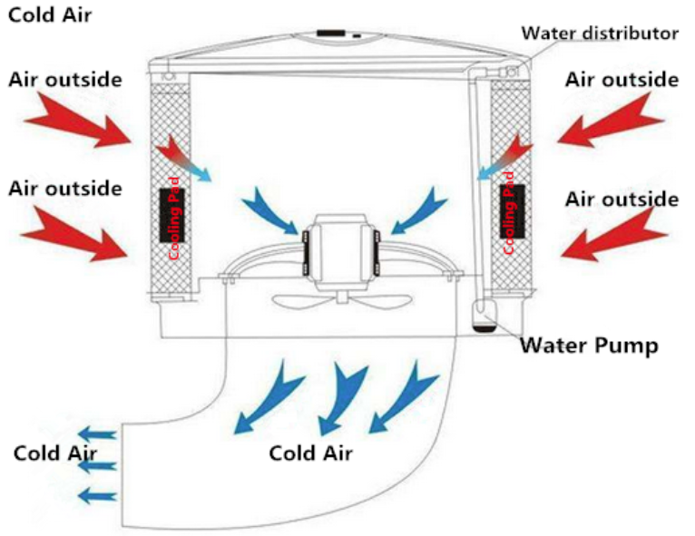product-766-591 product-766-591