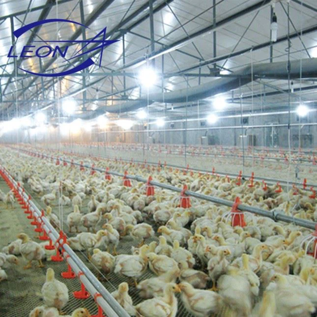 A Brand New Nipple Drinking System For Chickens A Brand New Nipple Drinking System For Chickens