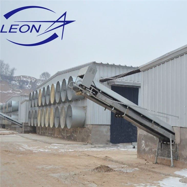 Automatic Layer Poultry Cages Equipment