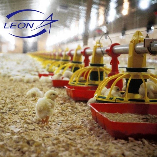 Leon Full Automatic Broiler Pan Feeding System