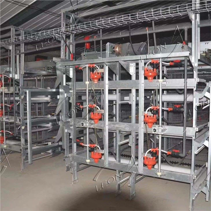 H Type Broiler House