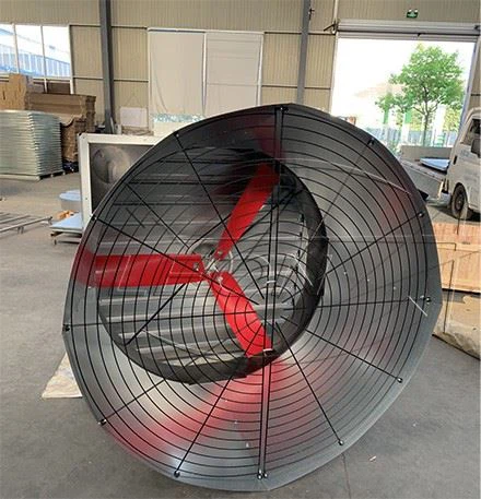 cone fan 1