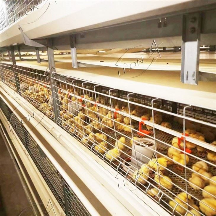 Broiler Cage Raising System Broiler Cage Raising System