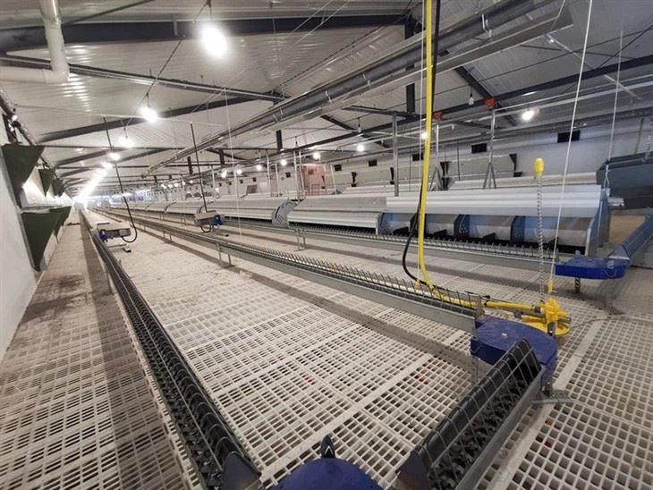 Chicken Plastic Slat Floor