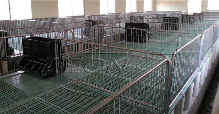 pig-floor-china